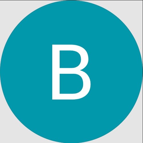 foto de perfil de google maps de bernardo